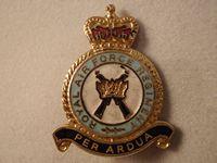 Gradia Militaria - Q/C RAF Regiment Enamel Lapel Badge