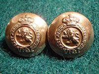 Gradia Militaria - V/R East Africa Protectorate Pair of Buttons