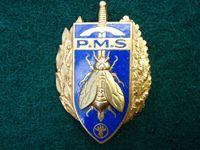 Gradia Militaria - P.M.S Unknown French Breast Badge