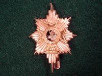 Gradia Militaria - Worcestershire & Sherwood Foresters Regt Cap Badge
