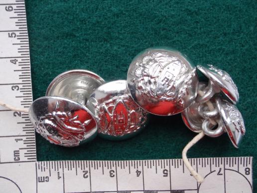 Gradia Militaria - Royal Australian Army Armoured Corps