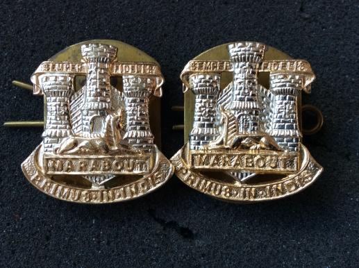 Gradia Militaria - Devon & Dorset Regt anodised collars