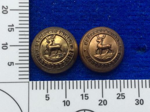 Gradia Militaria - The Bedfordshire & Hertfordshire Regiment Hat Buttons