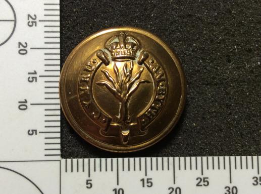 Gradia Militaria - Welsh Guards large 24mm Button by Pitt