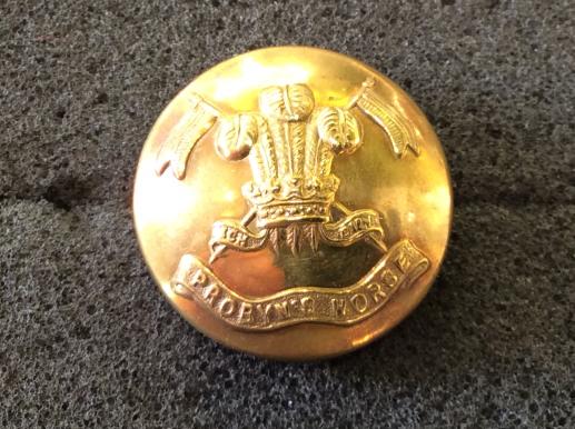 Gradia Militaria - WW2 5th King Edwards Own ‘Probyns Horse’ large button