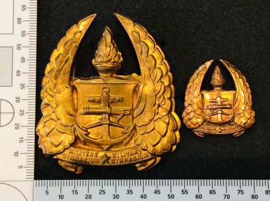 Gradia Militaria - S.A Military Gymnasium Cap/ Helmet Badge And collar