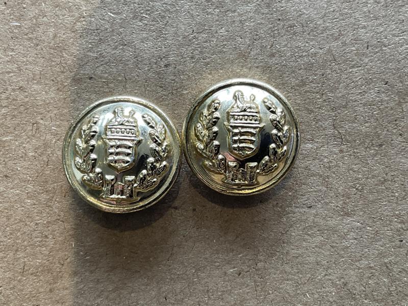 Gradia Militaria - 1950-60s Anodised Essex Regiment hat buttons.