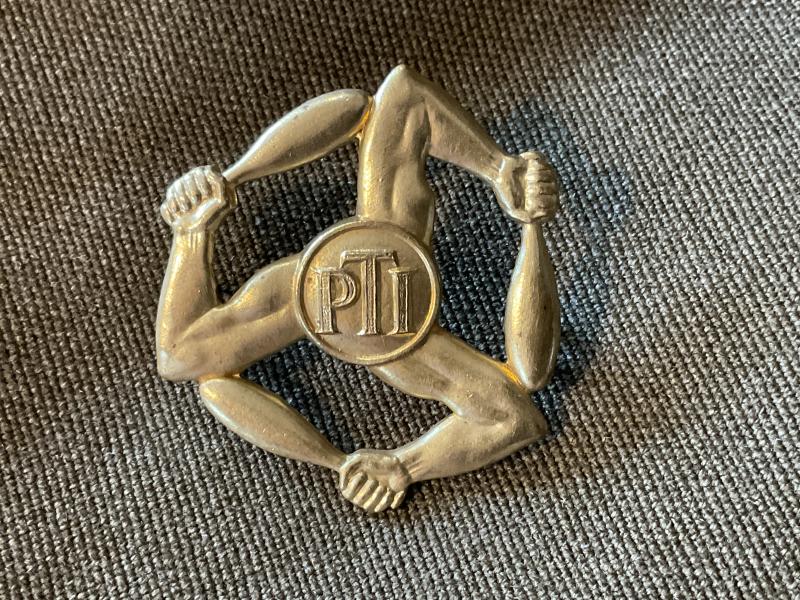 Gradia Militaria - WW2 RAF Physical Training Instructors brass sleeve badge