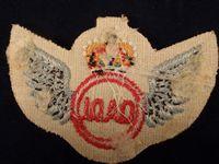 Q.A.D.I ( Qualified Air Despatchers Instructors Sleeve) Wing