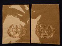 Gradia Militaria -  British Army Desert Warrant Officers' Shoulder Slides