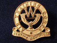 Gradia Militaria -  Air Training Corp Gilt Welfare Badge