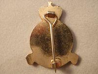 Q/C RAF Regiment Enamel Lapel Badge