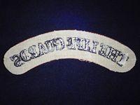 The Life Guards Shoulder Title