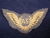 Gradia Militaria -  RAF Air Steward Bullion Mess Dress Wings