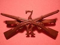 Gradia Militaria -  Civil War, Mexican War? Early Infantry Brass Collar