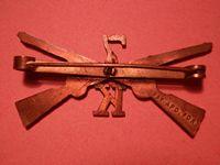 Civil War, Mexican War? Early Infantry Brass Collar