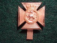 Gradia Militaria -  Duke of Edinburgh's Royal Regt Cap Badge