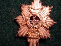 Worcestershire & Sherwood Foresters Regt Cap Badge