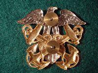 U.S Navy Officers Large Cap Badge
