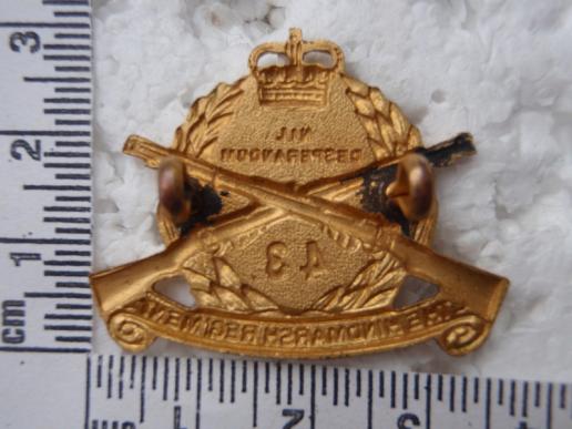 43/48th Inf Bn Collar Badge (53/60)