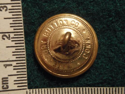 US Army Engineers Gilt Button