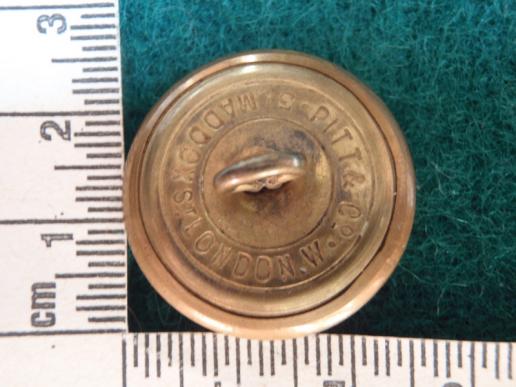 5th Royal Inniskilling Dragoons Guards Button