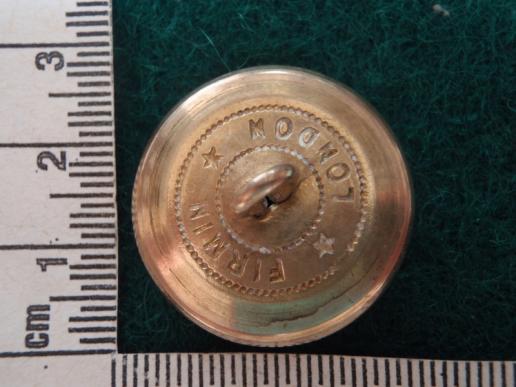 Officers Gilt The Queens Royal Regt Button