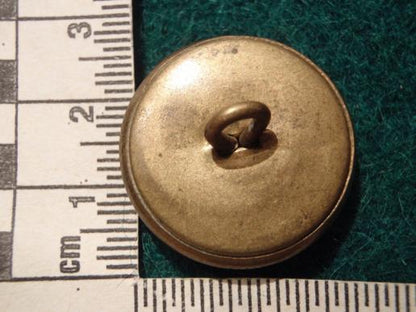 WW2 Physical training corps button
