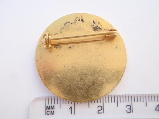 United States Antarctic Research Program Lapel Badge