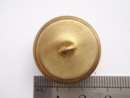 The Somerset Light Infantry (Prince Alberts) Button