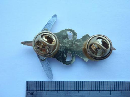 R.A.A.E.C Anodised Hat Badge