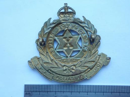 10th Infantry Battalion (The Adelaide Rifles)