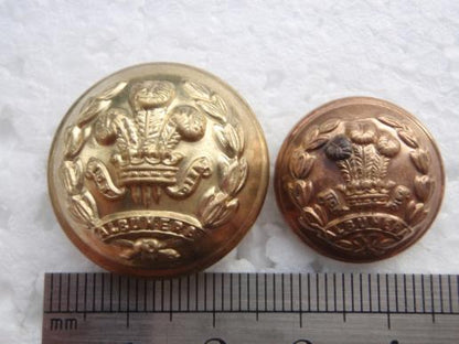 Gradia Militaria -  The Middlesex Regt (Duke of Cambridges Own ) Button