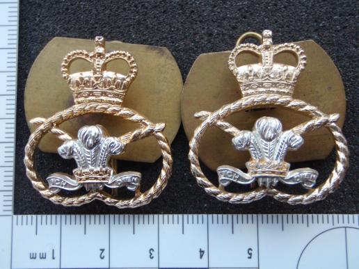 Gradia Militaria -  The Staffordshire Regt Anodised Collar Badges