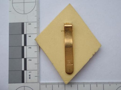 Queens Lancashire Regt Cap Badge