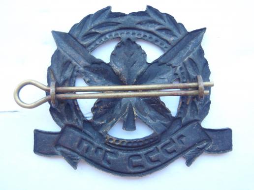 Isreali Defence Force cap badge