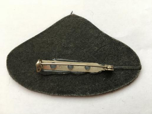 Cypriot master parachutists wings