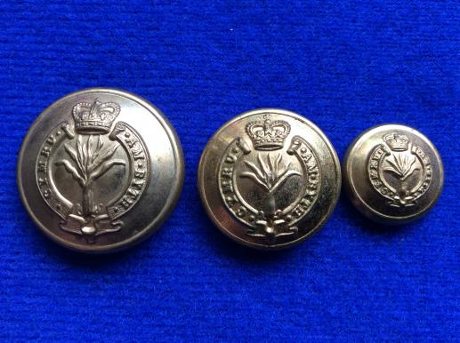 Gradia Militaria -  Post 1952 Welsh Guards Gilt Buttons