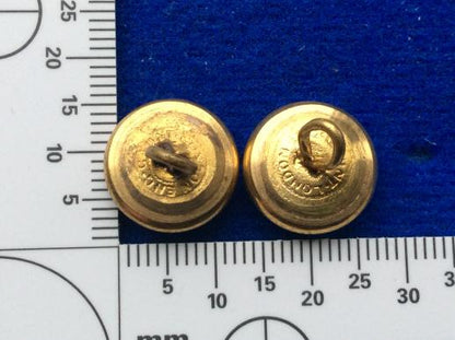 The Queens Own Royal West Kent Regt Officers Hat Buttons