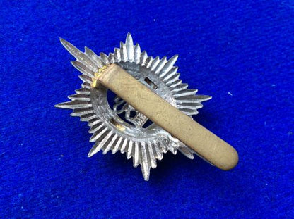 The Worcestershire Regiment bi-metal Cap Badge