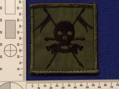 Gradia Militaria -  The Queens Royal LancersTRF badge worn in Iraq