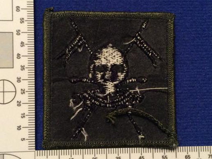 The Queens Royal LancersTRF badge worn in Iraq