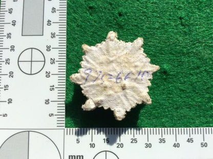 Irish Guards padded Bullion Rank star