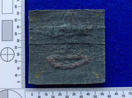 The Devonshire & Dorset Regiment Officers Bullion Badge