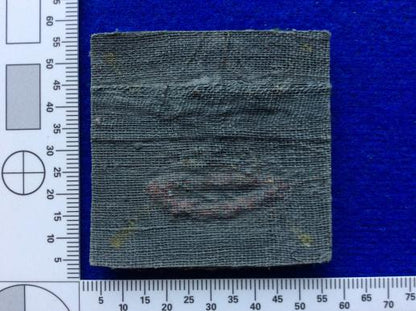 The Devonshire & Dorset Regiment Officers Bullion Badge