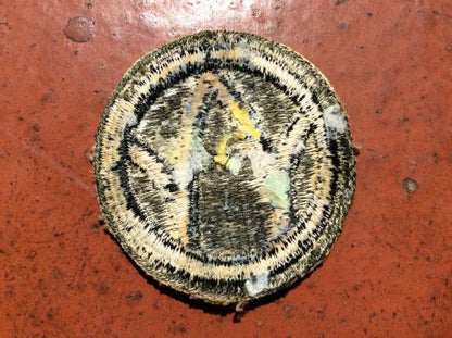 WW2 U.S Army 89th Infantry Division patch