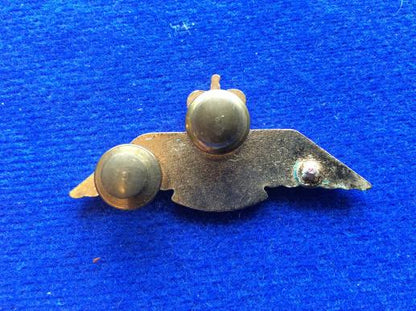 Canadian Air Force Cadet pilots wings