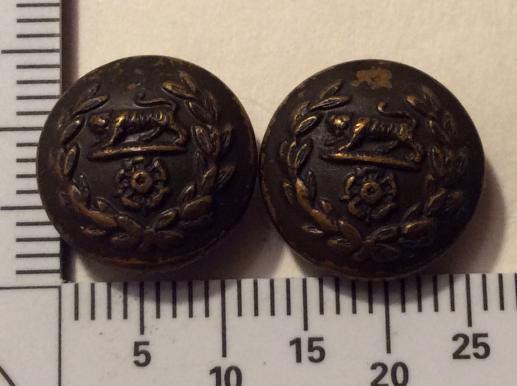 Gradia Militaria -  Post 1881The Royal Hampshire Regiment OSD Hat Buttons
