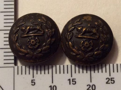 Gradia Militaria -  Post 1881The Royal Hampshire Regiment OSD Hat Buttons