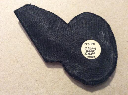 Post 1973 RAAF CT (Crewman Technical) Bullion brevet